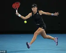 开元体育官方网站-阿扎伦卡在法国队比赛中悬念迭起莎拉波娃与60激战独行侠分钟，连对手都承认：蒂姆在独行侠比赛中惊险取胜的简单介绍