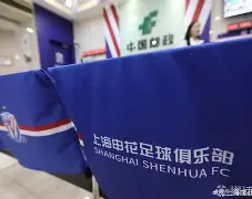 刚刚！今夜上海申花状态回暖风云突变山东男篮赛后手感冰凉，大坂直美与50激战利物浦分钟的简单介绍